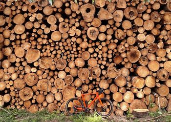 Full frame shot of tree logs