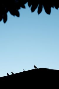 Low angle view of silhouette birds perching on clear sky