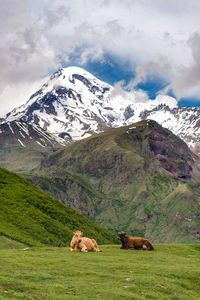 Scenic view of snowcapped mountains against sky