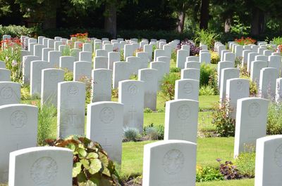 Row of cemetery