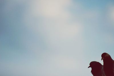 Low angle view of cropped hand against sky