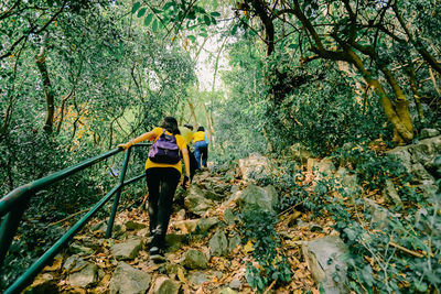 Rear view of people walking amidst trees in forest