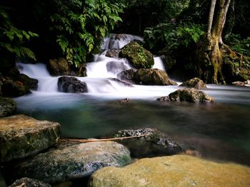 Scenic view of waterfall in forest