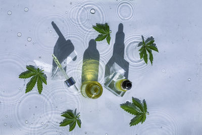 Cbd oil bottles, blue water background with drops, waves and leaves of hemp, marijuana