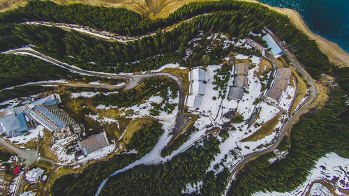 High angle view of plants by snow covered mountain