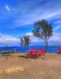 Trees on beach against blue sky