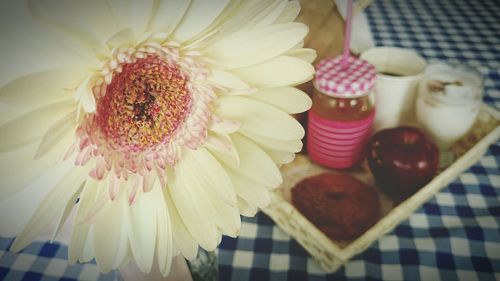 Close-up of pink flowers