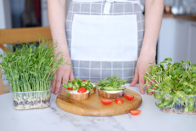 Midsection of woman holding potted plant on table