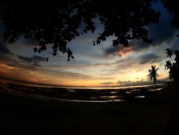 Silhouette trees on beach against sky during sunset