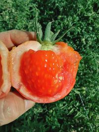 Close-up of hand holding strawberry