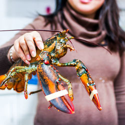 Midsection of woman holding lobster at fish market