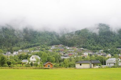 Houses on grassy field by trees and buildings