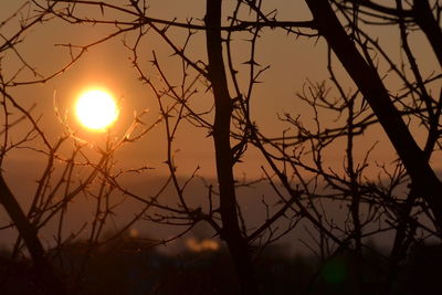 Silhouette bare tree against sky during sunset