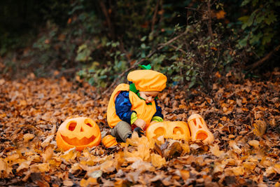 Various pumpkins on field during autumn