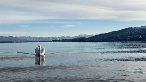 Rear view of man in sea against sky