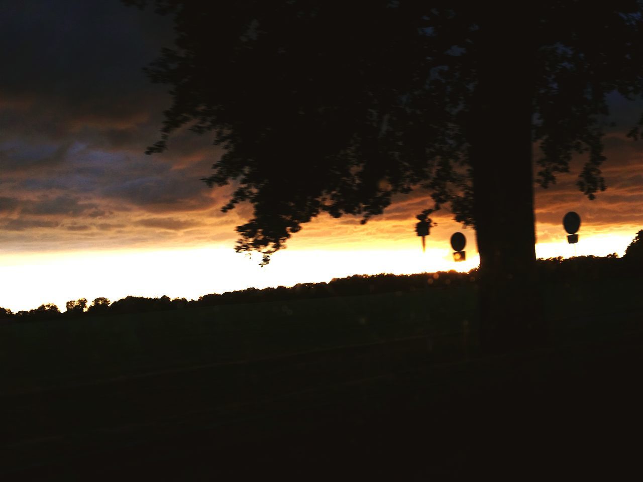 SILHOUETTE TREES AGAINST SCENIC SKY