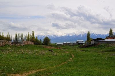 Scenic view of field against sky