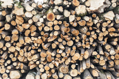 Full frame shot of logs in forest