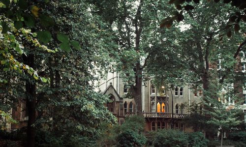 House amidst trees