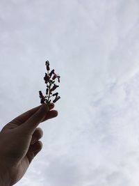 Low angle view of person holding hand against sky