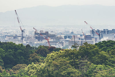 High angle view of trees and buildings in city