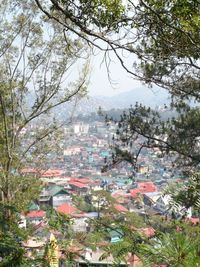 High angle shot of townscape