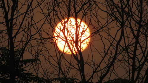 Silhouette bare trees against sky during sunset