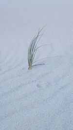 Close-up of sand on beach