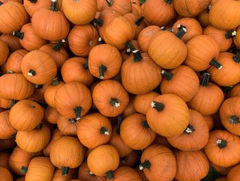 Full frame shot of pumpkins for sale at market