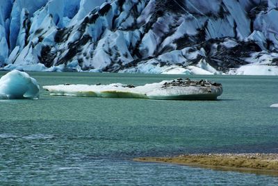 Out at mendenhall glacier in juneau,  ak.