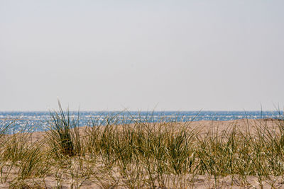 Scenic view of sea against clear sky