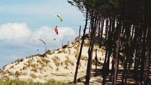 Person paragliding over beach against sky