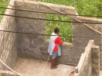 Rear view of a boy walking on tree