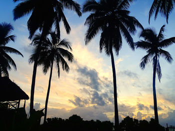 Low angle view of silhouette coconut palm trees against sky during sunset