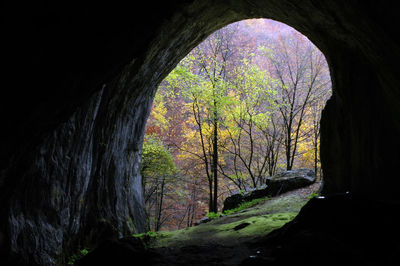 Silhouette man standing in tunnel