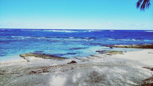 Scenic view of beach against clear blue sky