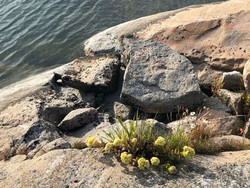 High angle view of rocks on beach