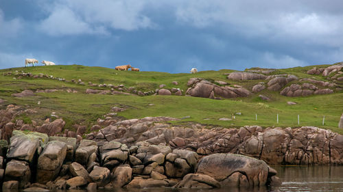 Scenic view of landscape against sky