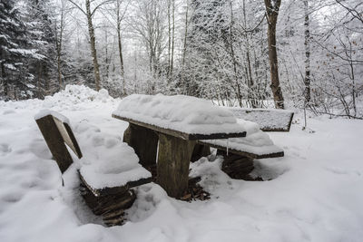 Snow covered land and trees in forest