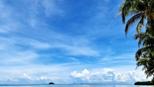 Low angle view of coconut palm trees against sky