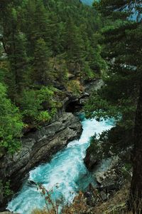 Stream flowing through rocks in forest