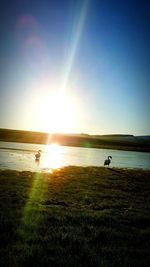 Scenic view of sunset over sea