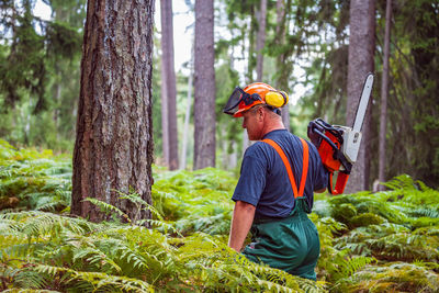 Man working in forest