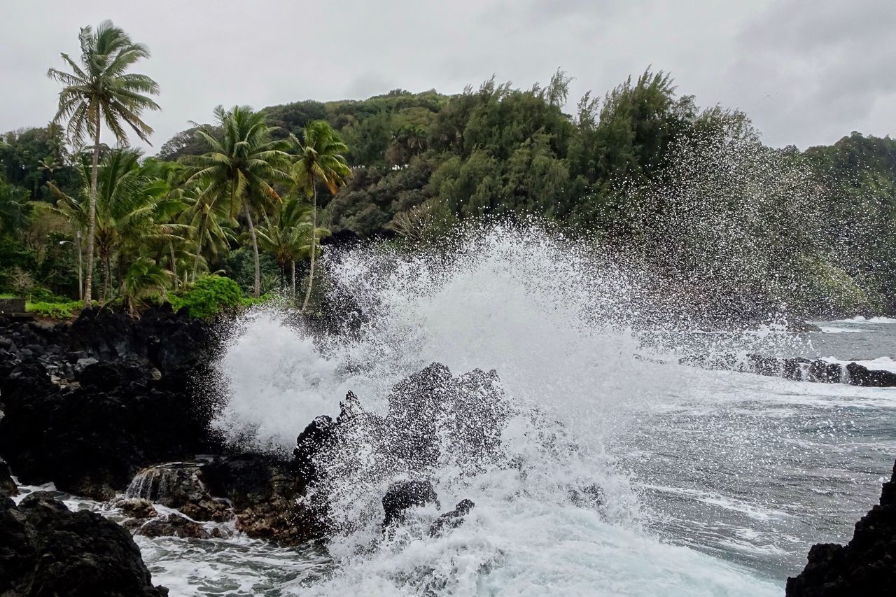 SCENIC VIEW OF WATERFALL