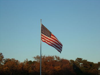 Low angle view of american flag and trees against clear blue sky