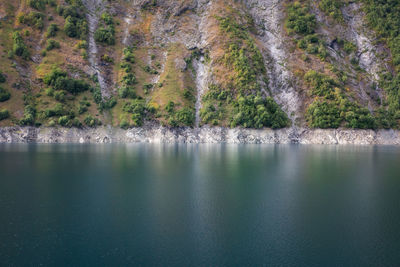 Scenic view of lake in forest