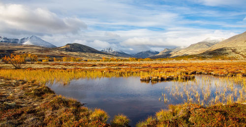 Scene with autumn colours from rondane national park in norway, with a small pond in the foreground.