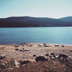 Scenic view of lake against clear sky