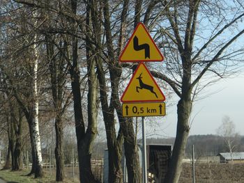 Road sign by trees