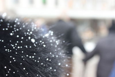 Extreme close up of water drops